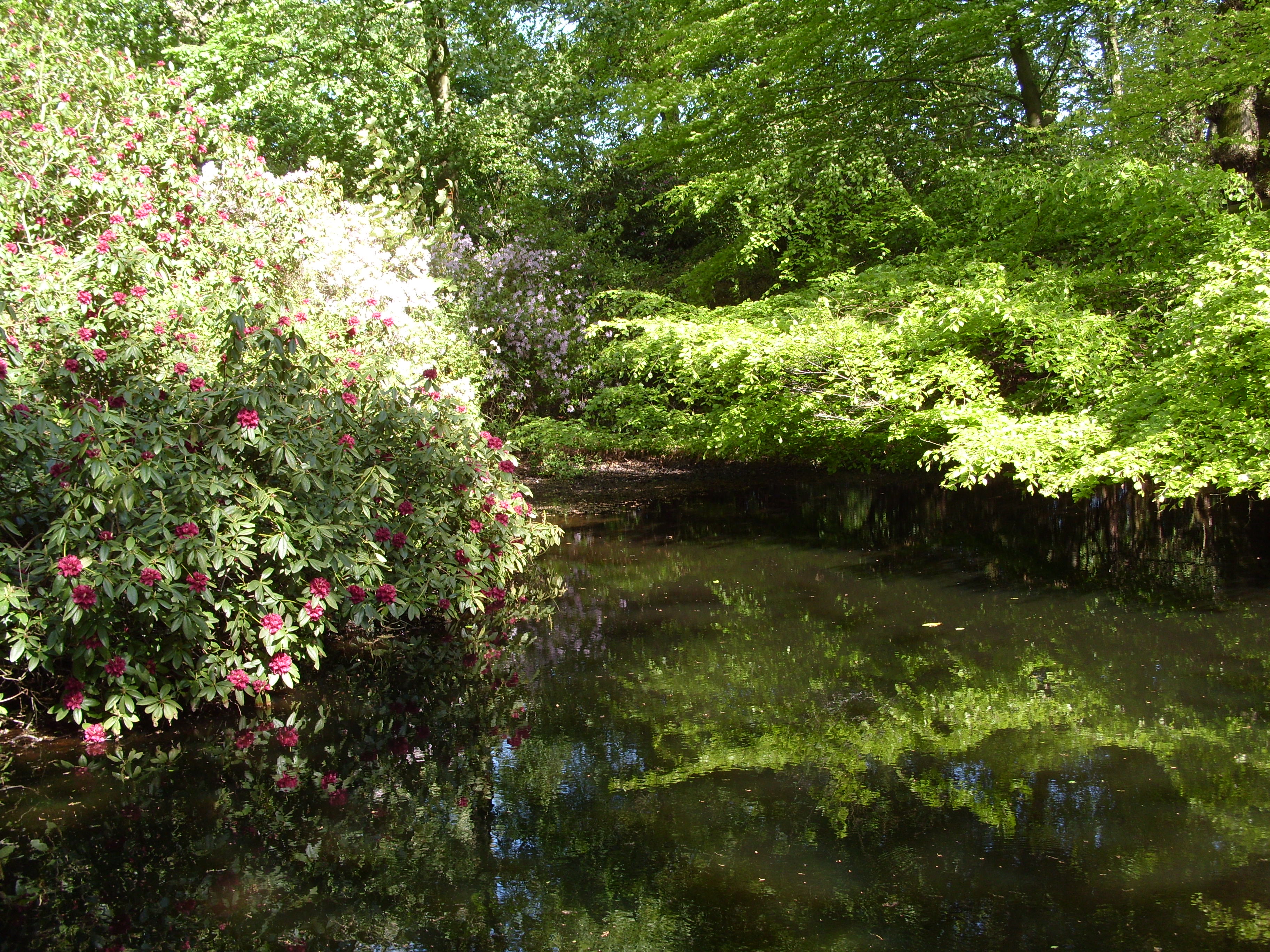 Well Dressings Bakewell